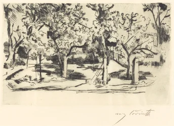 Obstgarten