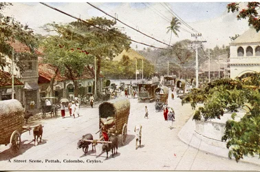 Straßenszene, Pettah, Colombo, Ceylon, ca. 1900-20 (handkolorierte Fotografie)