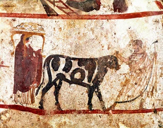 Ein Stier wird zum Altar des Opfers geführt. Lukanisches Fresko aus dem 4. Jahrhundert v. Chr., aus der Nekropole von Andriuolo in Paestum, Italien