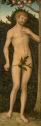 Adam