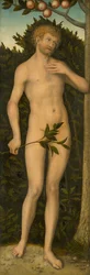 Adam, 153337