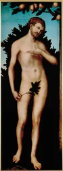 Adam