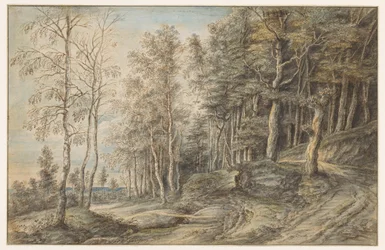 Waldlandschaft