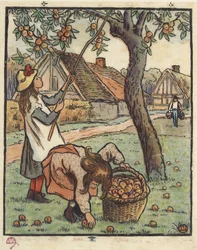 Die Apfelernte