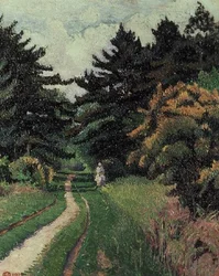 Der Kiefernwald bei Chipperfield Common