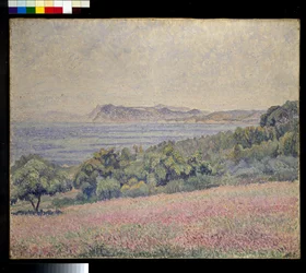 Disteln, Le Brusq