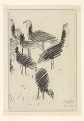 Sechs Vögel
