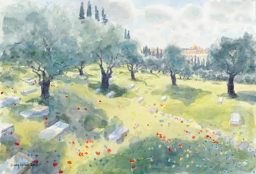 Der Olivenhain (Tempelberg vom Kidrontal, Jerusalem)