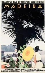 Schöne Insel der Blumen und des Sonnenscheins MADEIRA