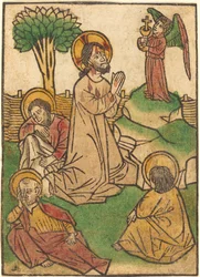 Die Agonie im Garten