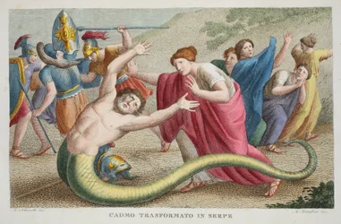 Kadmos in eine Schlange verwandelt, Buch IV, Illustration aus Ovids Metamorphosen, Florenz, 1832