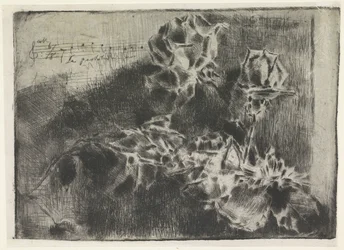 Rosenzweig