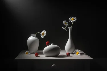 Gänseblümchen Vasen und Kirschen