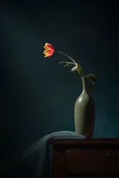 Dunkles Blumenstillleben