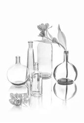 Elegante Glastulpen