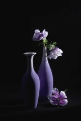 Elegante violette Anemonen
