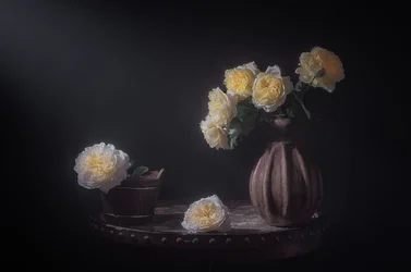 Elegante gelbe Rosen
