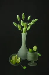 Grüne Botanicals und Limetten