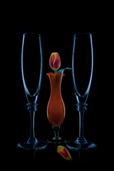 Intime Tulpenflöten