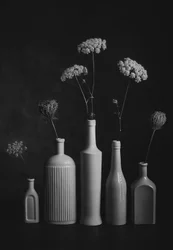Monochromes botanisches Stillleben