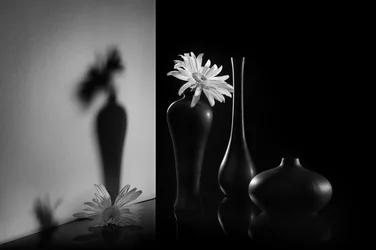Monochromes Duales Blumenmotiv