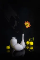 Stimmungsvolle Blume und Frucht