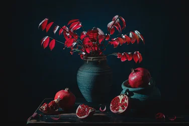 Stimmungsvolles rotes Granatapfelstillleben
