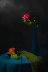 Stimmungsvolles Tulpenstillleben