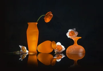 Stillleben mit orangefarbenen Blüten