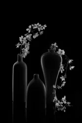 Gelassene Blumenanordnung