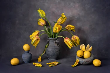 Gelbe Tulpen und Zitronen