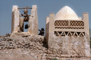 In der Wüste, ein Oasen-Wasserplatz mit einem Brunnen bei Husn Al-Muttahar südlich von Tarin, Jemen.