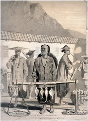 Fischhändler, Victoria Street, Hongkong, China