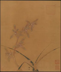 Orchideen, zweites Viertel des 13. Jahrhunderts.