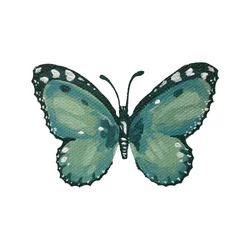 Eleganter türkisfarbener Schmetterling