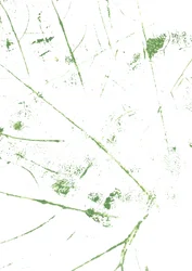 Abstrakte grüne Linien