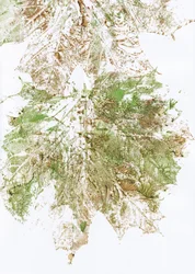 Herbstblatt-Druck