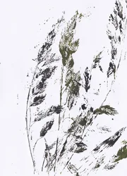 Botanischer Grasdruck