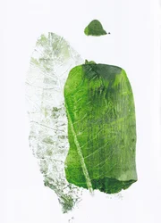 Botanische Grüne Formen