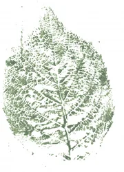 Botanischer Blattdruck