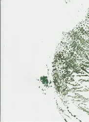 Botanischer Blattdruck