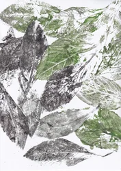 Botanische Blattdrucke