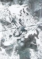 Ätherisches Winterlaub
