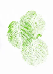 Frische grüne Blattdrucke