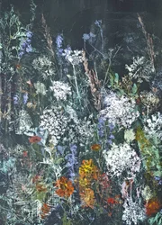 Mitternächtliche Wildblumenblüte