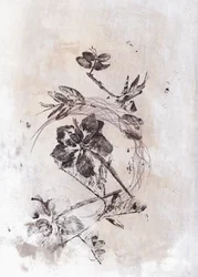 Sepia Botanischer Fluss