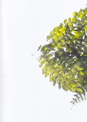 Lebendige grüne Textur