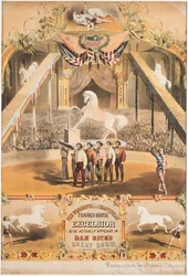 Das wunderbare und schön trainierte Pferd Excelsior, um 1840
