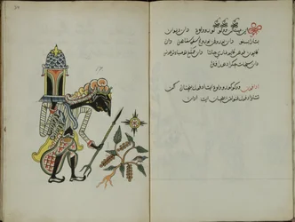 Wukon Jawa, MS 41 S.34, Bild 17, 1830