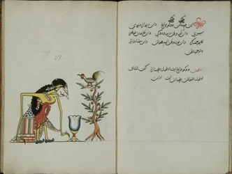 Wukon Jawa, MS 41 S.54, Bild 27, 1830